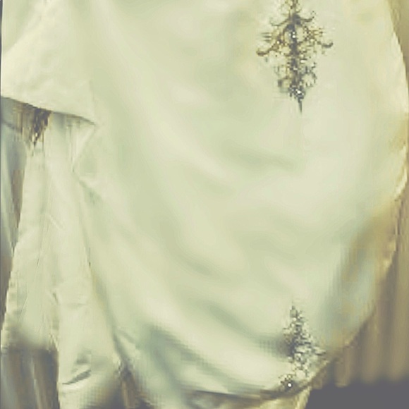 The Marquis Gown - (for the marquis rhinestones) - Picture 3 of 4